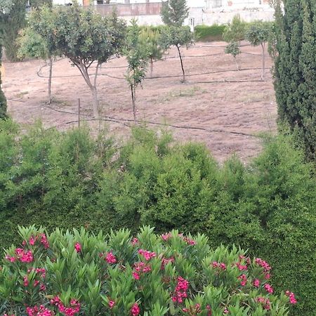 Paphos Sunset Green 03 מראה חיצוני תמונה