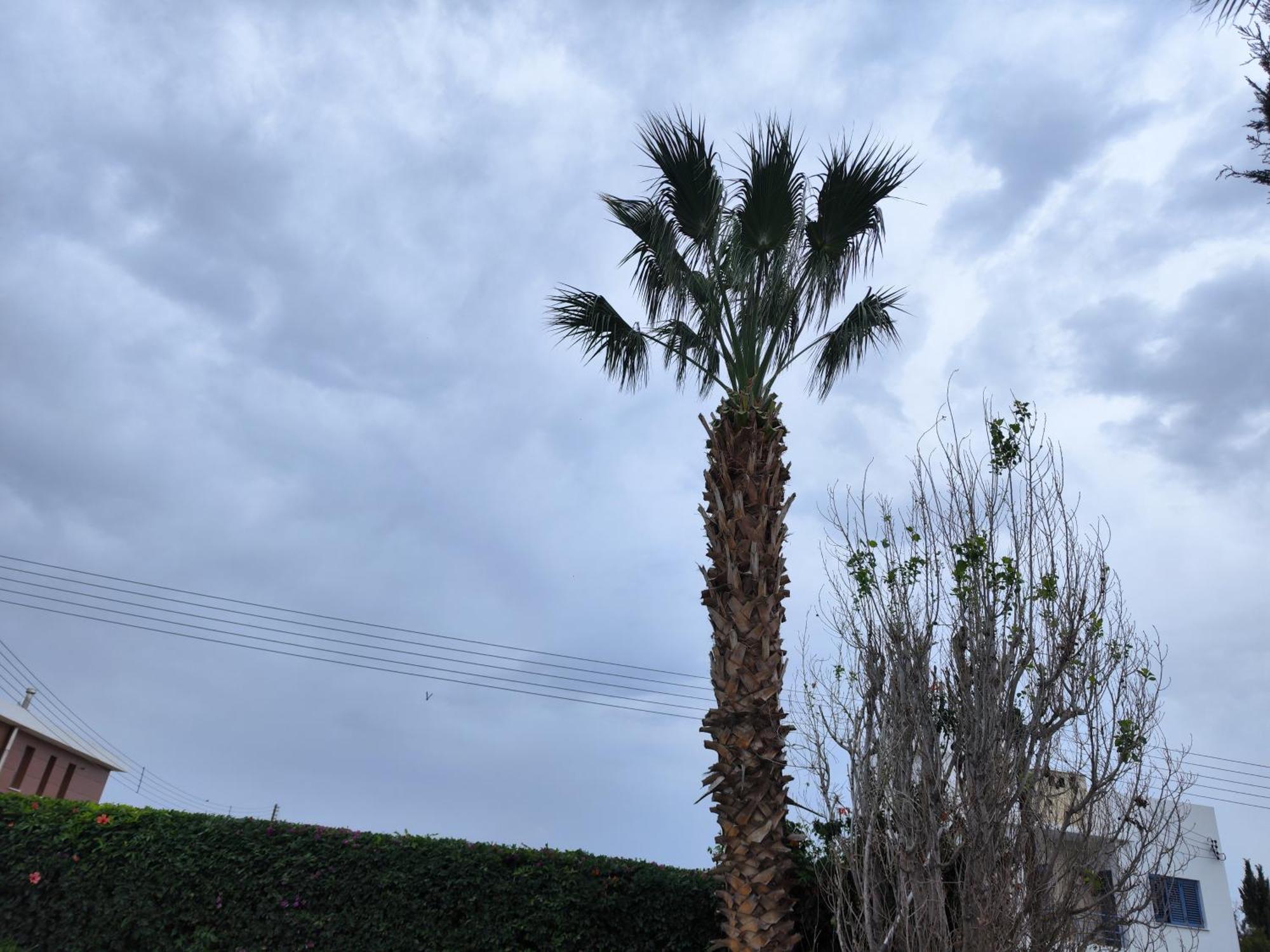Paphos Sunset Green 03 מראה חיצוני תמונה