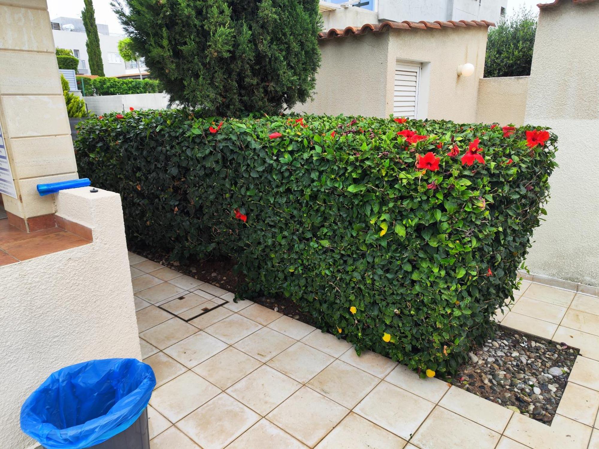 Paphos Sunset Green 03 מראה חיצוני תמונה