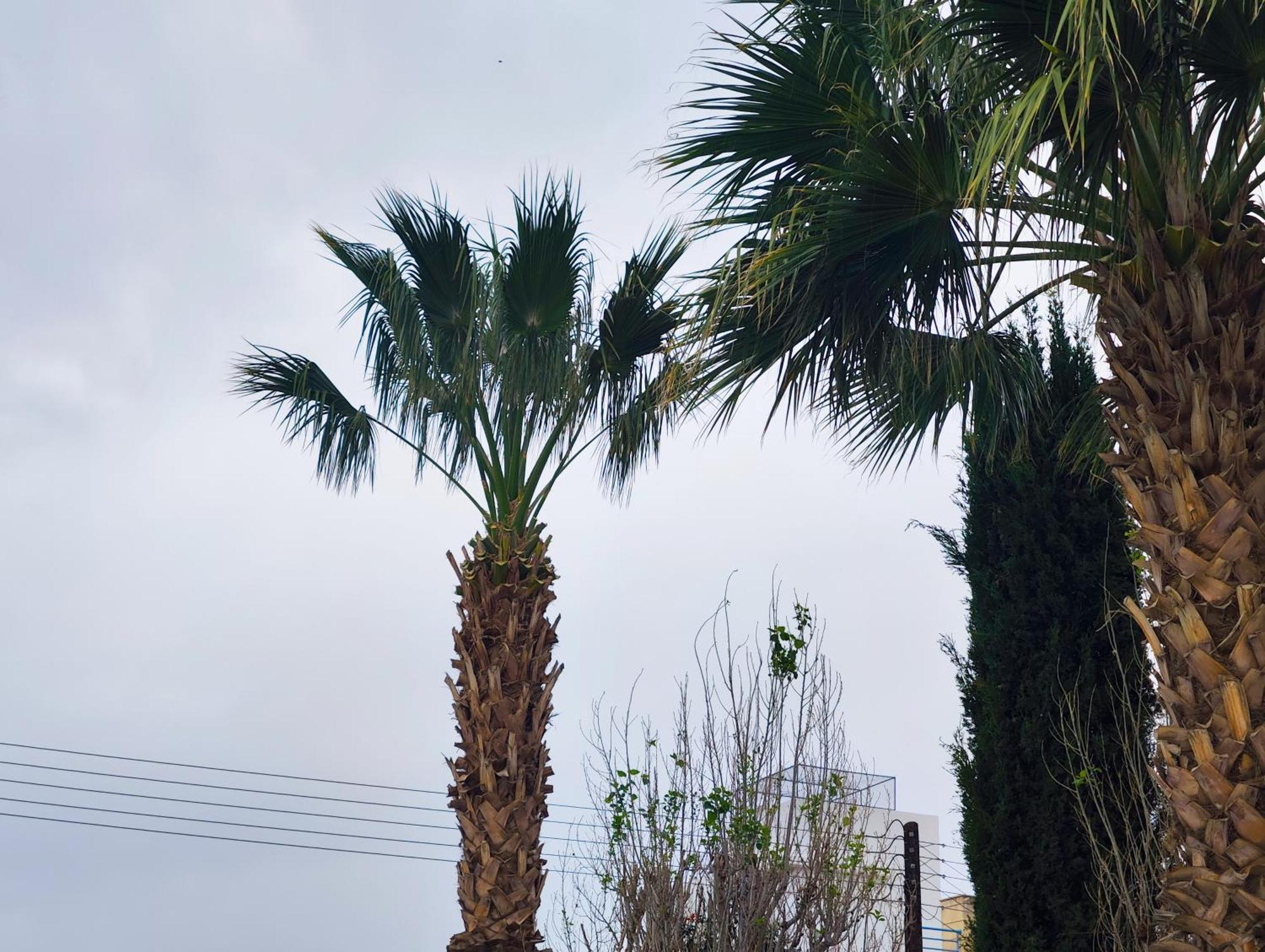 Paphos Sunset Green 03 מראה חיצוני תמונה