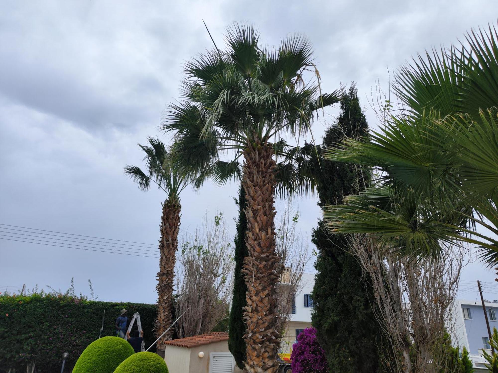 Paphos Sunset Green 03 מראה חיצוני תמונה