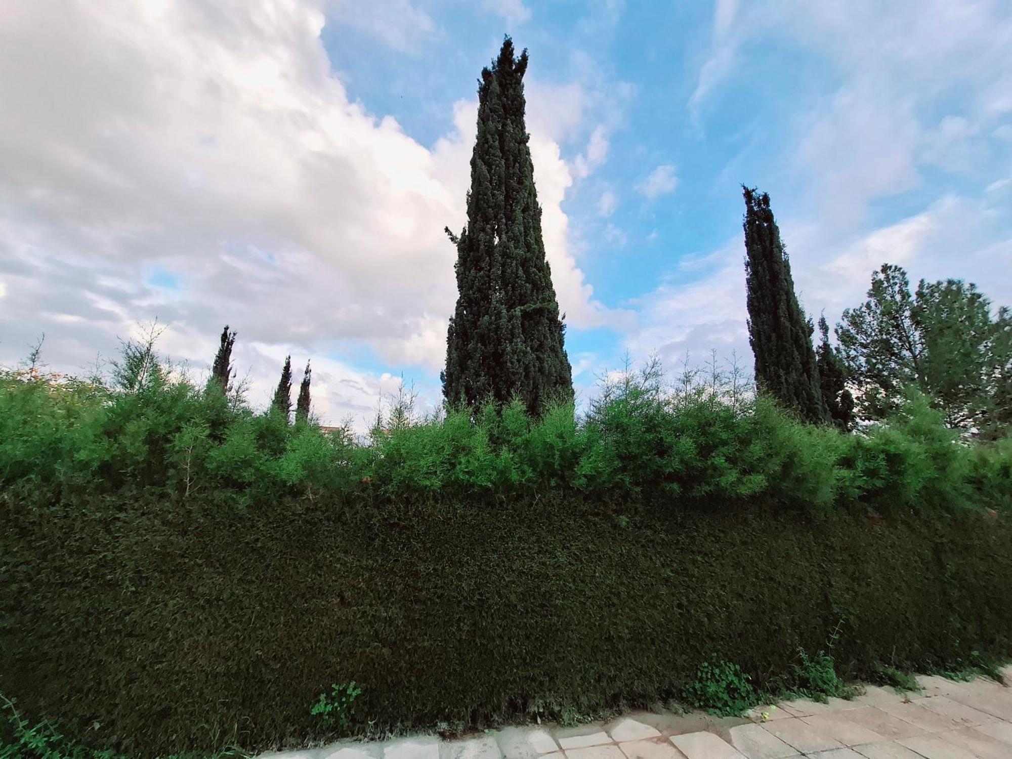 Paphos Sunset Green 03 מראה חיצוני תמונה
