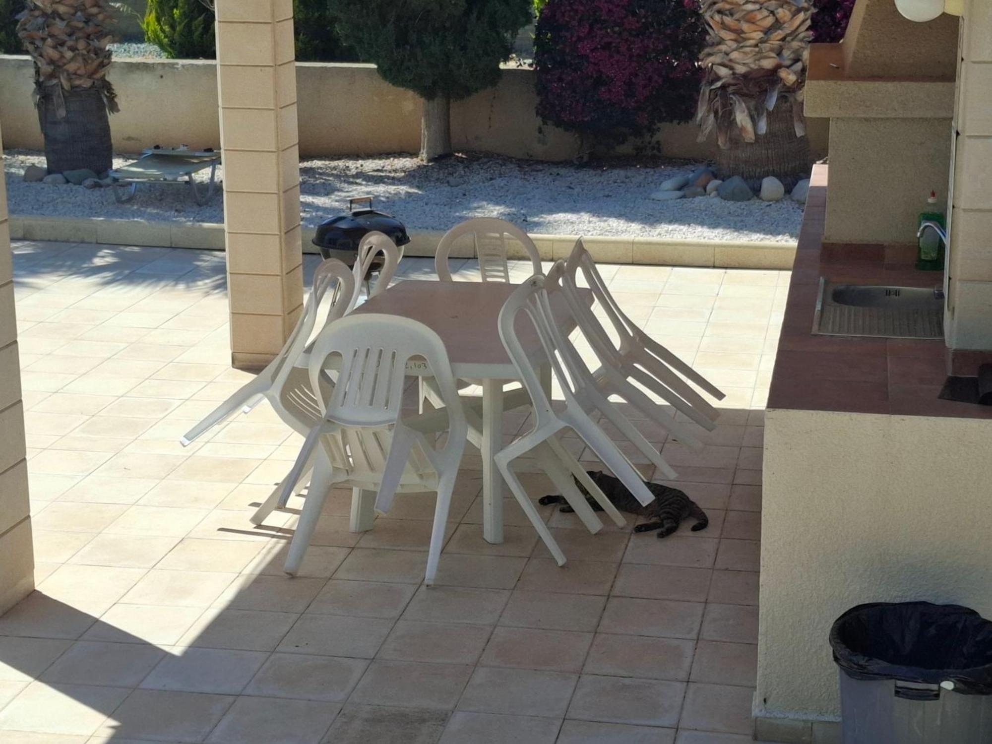 Paphos Sunset Green 03 מראה חיצוני תמונה