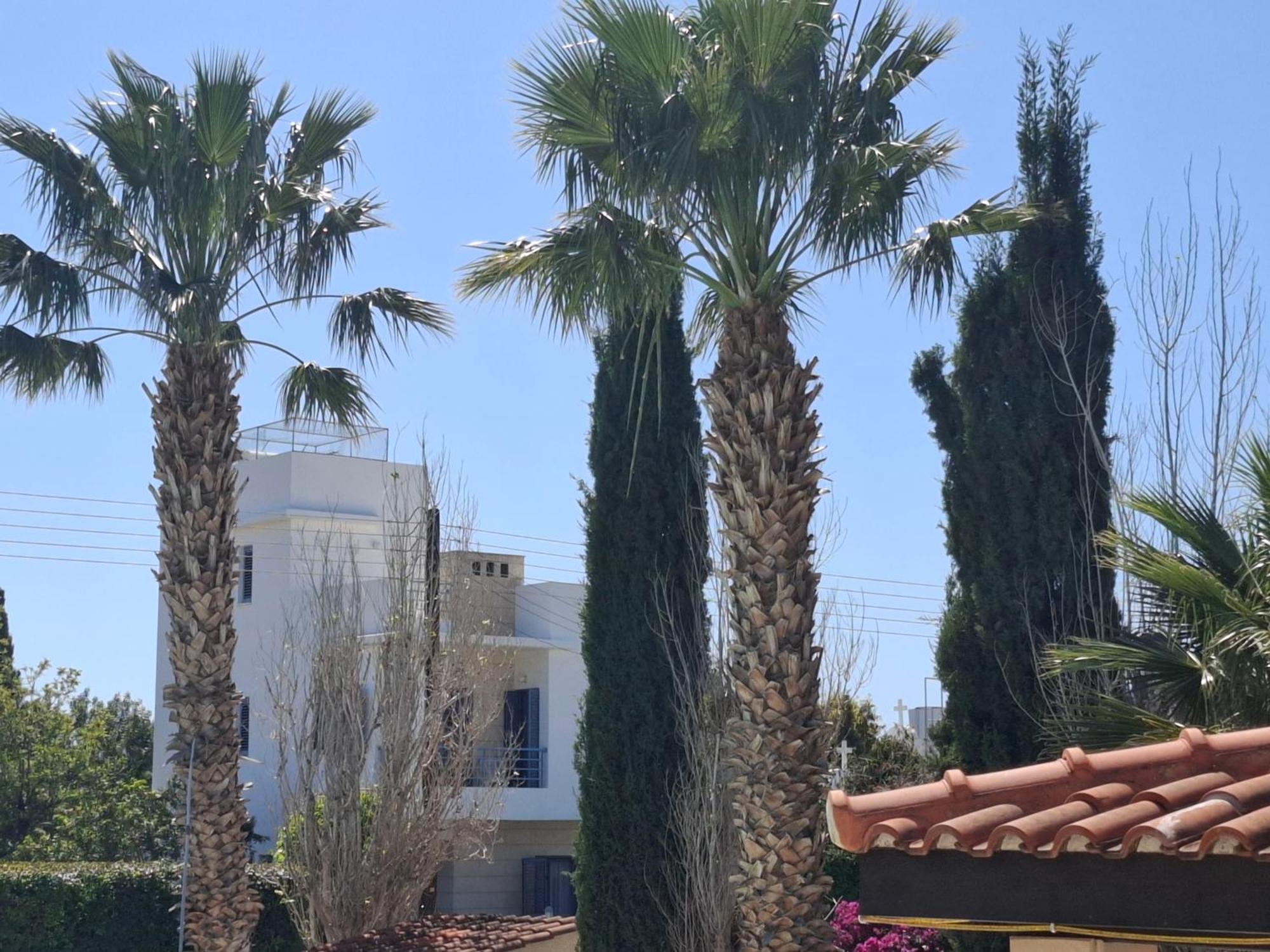 Paphos Sunset Green 03 מראה חיצוני תמונה