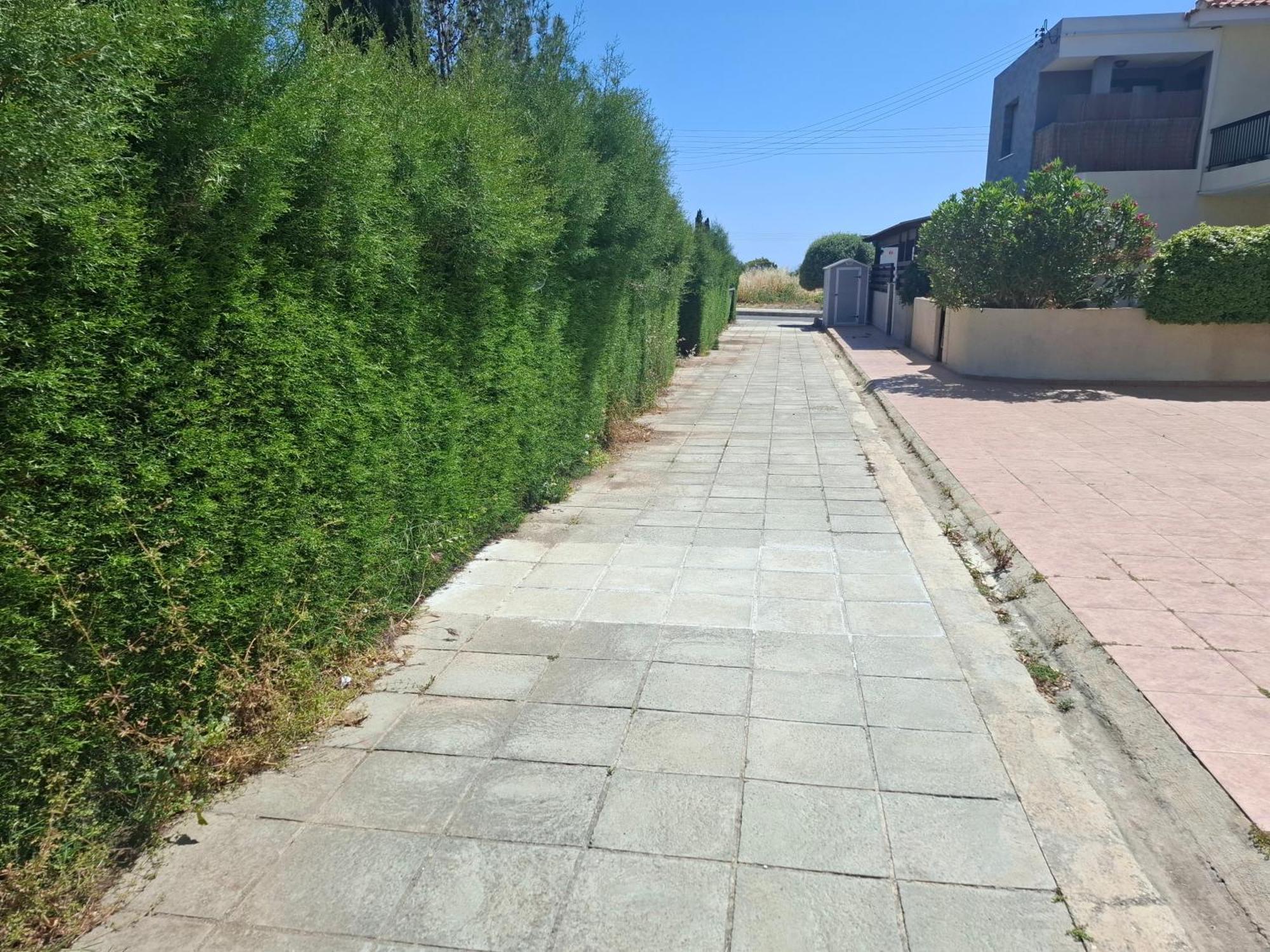 Paphos Sunset Green 03 מראה חיצוני תמונה