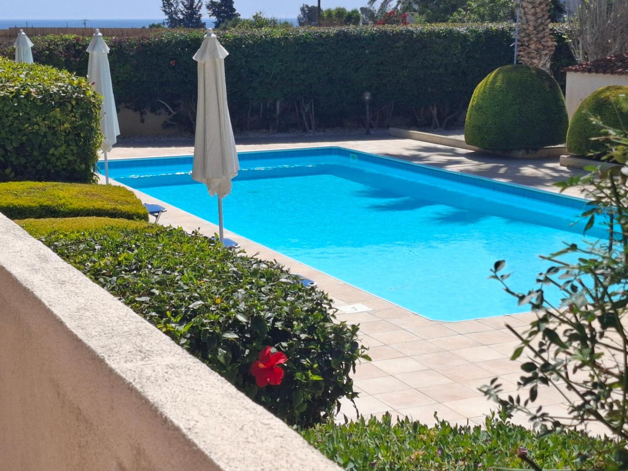 Paphos Sunset Green 03 מראה חיצוני תמונה
