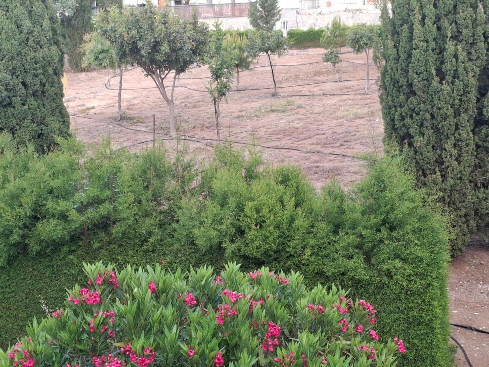 Paphos Sunset Green 03 מראה חיצוני תמונה